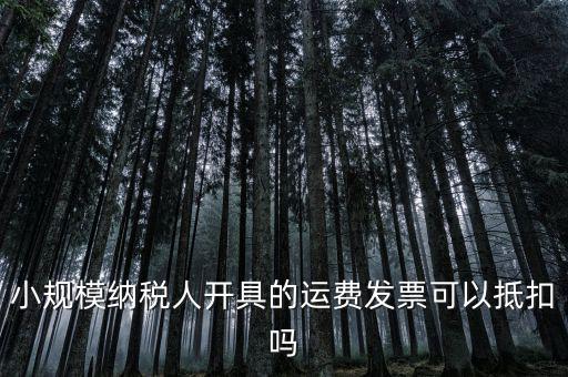 小規模納稅人開具的運費發票可以抵扣嗎