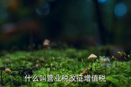 什么叫營業稅改征增值稅