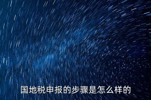 貴州的國地稅申報方法是什么意思，國地稅聯合稅費申報什么意思