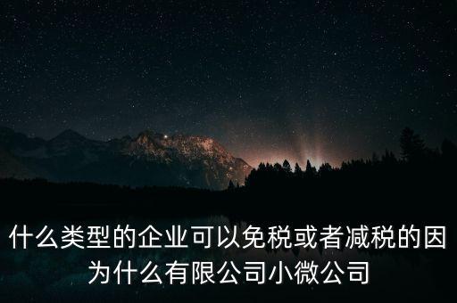 什么類型的企業可以免稅或者減稅的因為什么有限公司小微公司