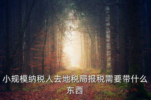 上門申報(bào)附加稅要帶什么資料，去地稅局繳納營業(yè)稅金及附加需要帶什么資料