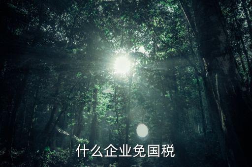 什么公司是免稅的，現在都有哪些行業免稅了