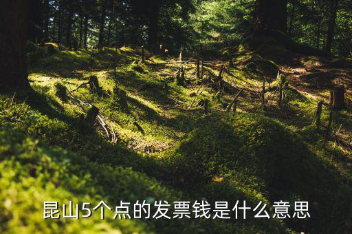 昆山5個點的發票錢是什么意思