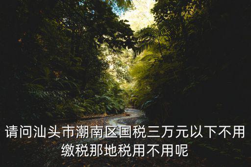國稅3萬元不到地稅要交什么稅，請問汕頭市潮南區國稅三萬元以下不用繳稅那地稅用不用呢
