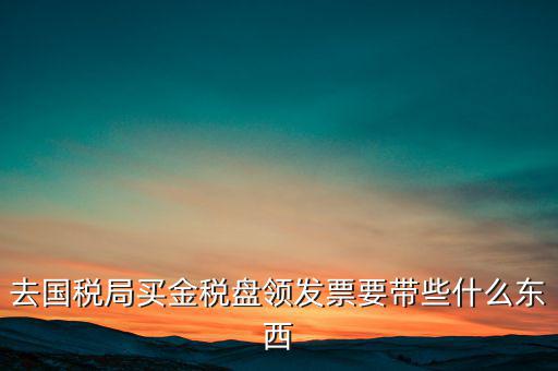 去國稅局買金稅盤領發票要帶些什么東西