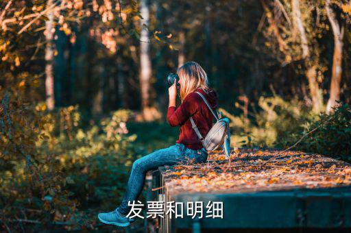 發票中的明細是什么意思，發票的明細條數控制在2000條是什么意思