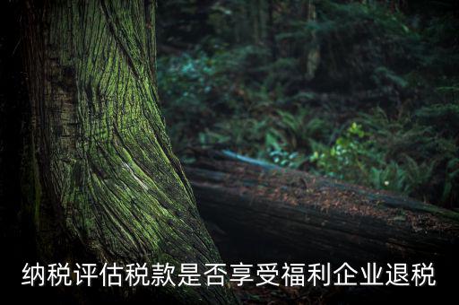 納稅評估稅款是否享受福利企業退稅