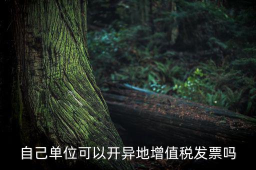 自己單位可以開異地增值稅發票嗎
