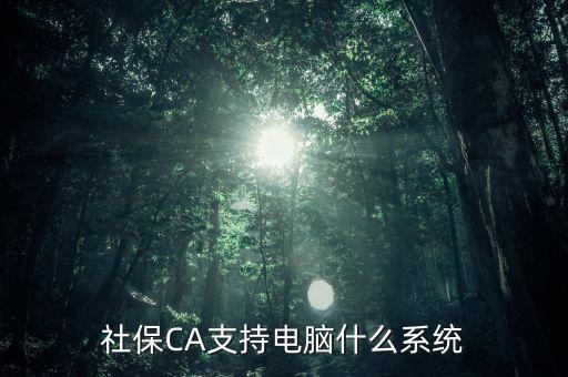 社保CA支持電腦什么系統