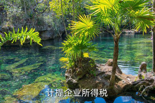 計提企業所得稅是什么意思，計提企業所得稅