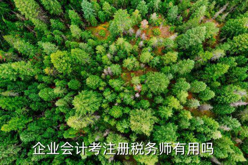 企業會計考注冊稅務師有用嗎