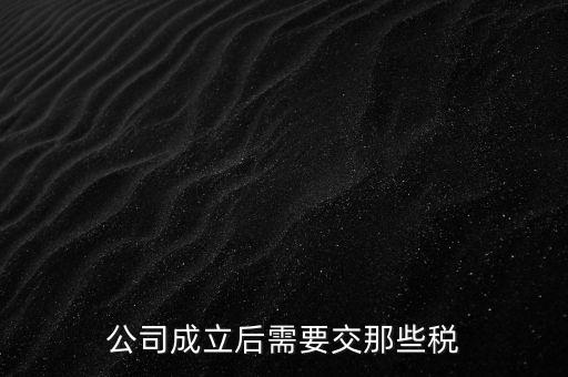 辦一個(gè)企業(yè)都需要交什么稅，公司成立后需要交那些稅