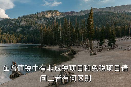 非免稅廠的性質是什么意思，免稅公司和非免稅公司的區別最后可以舉例
