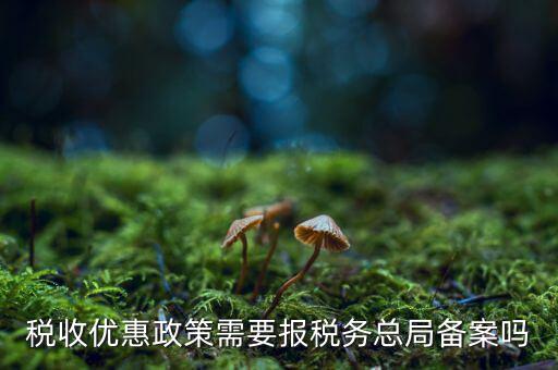 稅收優惠政策需要報稅務總局備案嗎