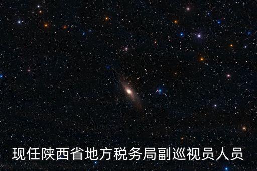 現任陜西省地方稅務局副巡視員人員