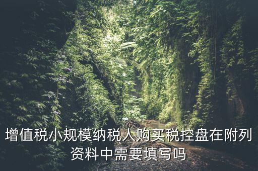 增值稅小規模納稅人購買稅控盤在附列資料中需要填寫嗎