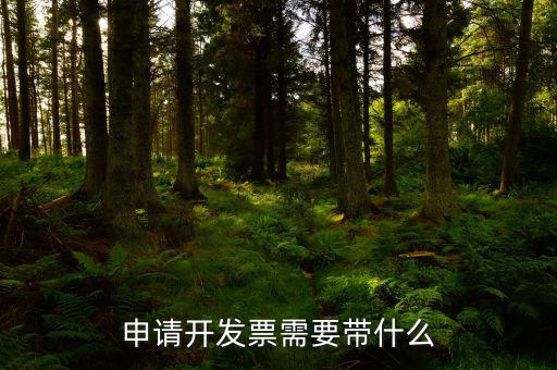 申請開發票需要帶什么