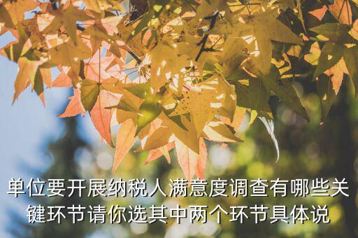 單位要開展納稅人滿意度調查有哪些關鍵環節請你選其中兩個環節具體說