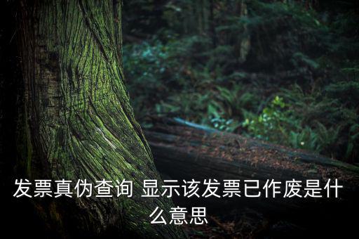 發票真偽查詢 顯示該發票已作廢是什么意思