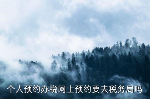 什么是稅務預約服務，個人預約辦稅網上預約要去稅務局嗎