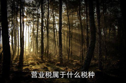 營業稅屬于什么稅種