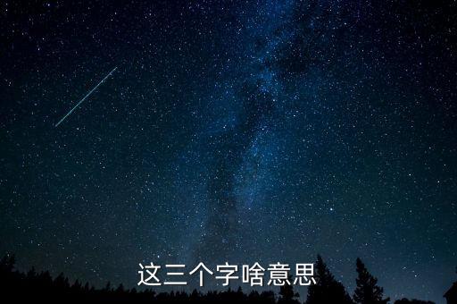 金三系統是什么意思，會計證外借給公司掛靠什么也沒做就被金三系統監控了