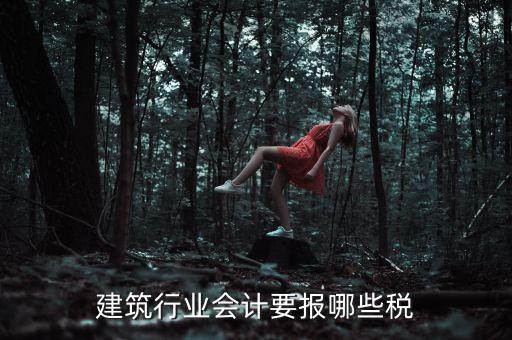建筑行業會計要報哪些稅