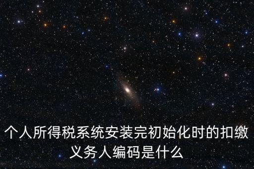 個人所得稅系統安裝完初始化時的扣繳義務人編碼是什么