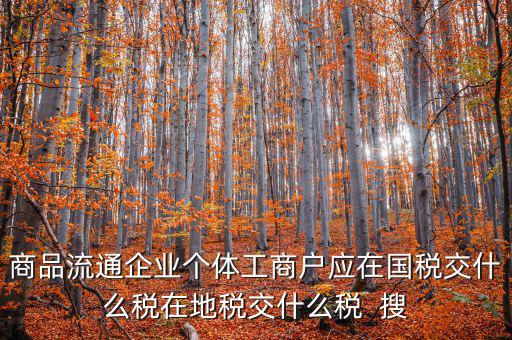 商品流通企業個體工商戶應在國稅交什么稅在地稅交什么稅  搜