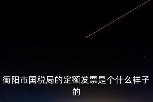 衡陽市國稅局的定額發票是個什么樣子的