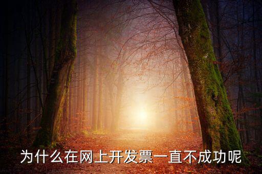 為什么在網上開發票一直不成功呢