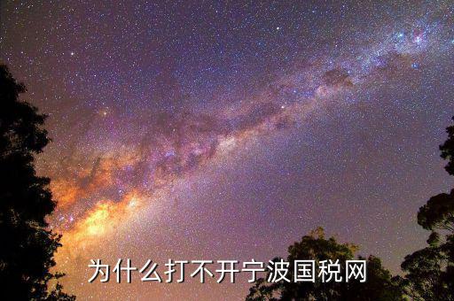 寧波國稅app為什么登陸不上，為什么打不開寧波國稅網