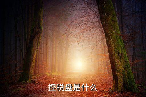 稅控盤是什么，稅控發票開票軟件 和金稅盤是什么意思