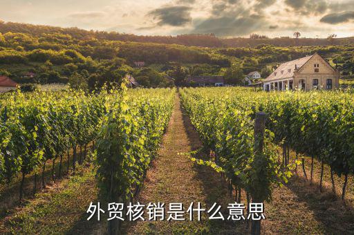 外貿核銷是什么意思