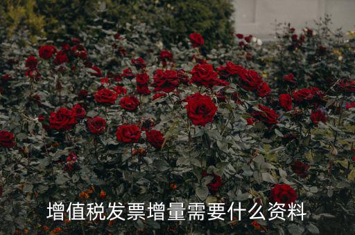 增值稅發票增量需要什么資料