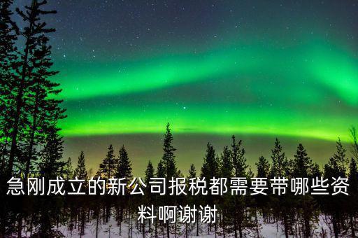 報稅要帶什么資料，增值稅報稅都要準備哪些資料