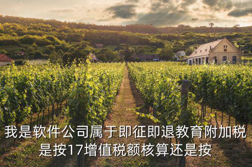 軟件企業交什么稅，軟件企業增值稅即征即退指的是什么