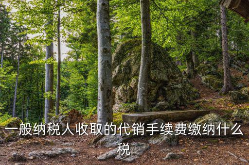 一般納稅人收取的代銷手續費繳納什么稅
