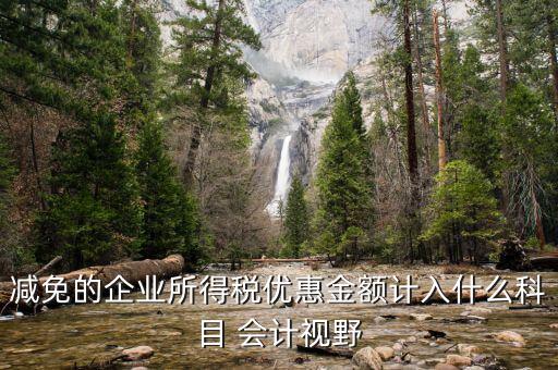 減免的企業所得稅優惠金額計入什么科目 會計視野