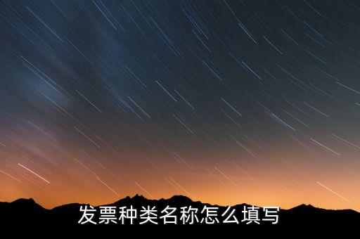 發票票種是填什么，發票類型號是什么啊