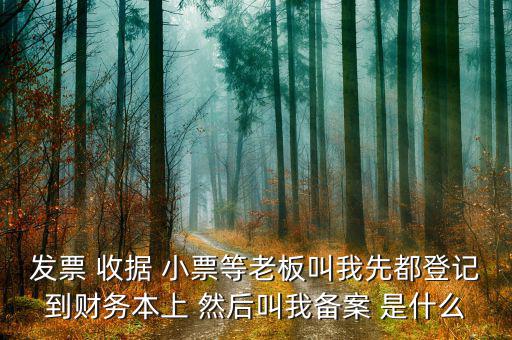 發票 收據 小票等老板叫我先都登記到財務本上 然后叫我備案 是什么
