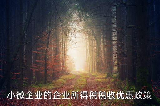 稅務小微企業稅收優惠是什么，小微企業的企業所得稅稅收優惠政策