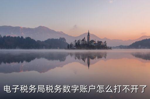 電子稅務局稅務數字賬戶怎么打不開了