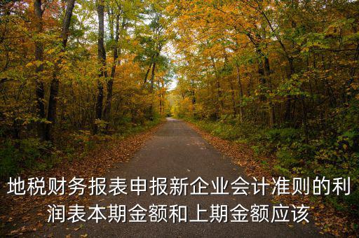 地稅利潤表的上期金額指什么，新會計制度下利潤表中本期金額和上期金額是什么意思