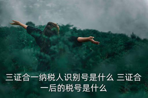三證合一后稅號是什么，三證合一納稅人識別號是什么 三證合一后的稅號是什么
