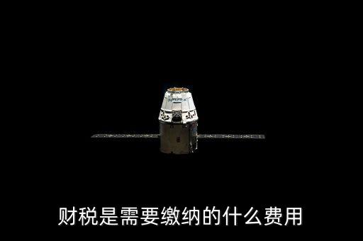 財稅費是什么，財稅是需要繳納的什么費用
