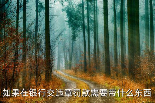 銀行端查詢繳款需帶什么，銀行端查詢繳稅業務如何辦理