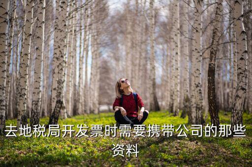 去地稅局開發票時需要攜帶公司的那些資料