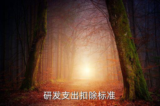研發支出扣除標準