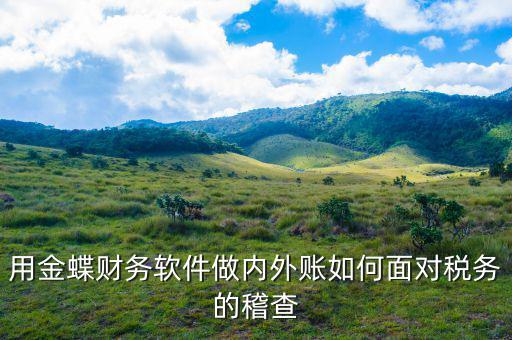 稅務稽查用的什么軟件，用金蝶財務軟件做內外賬如何面對稅務的稽查